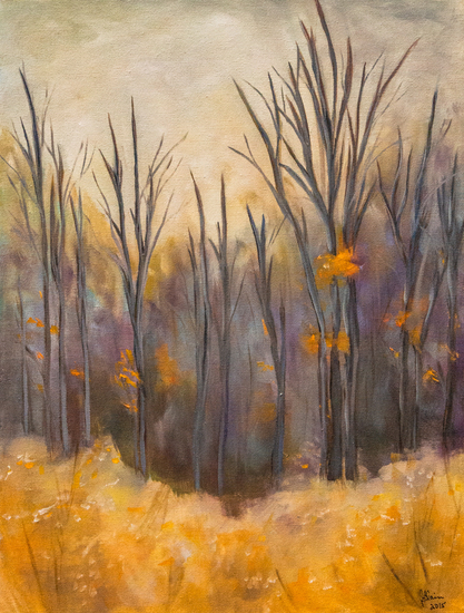 Forêt dénudée