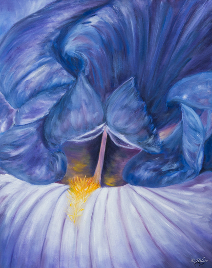 Le coeur de l'iris