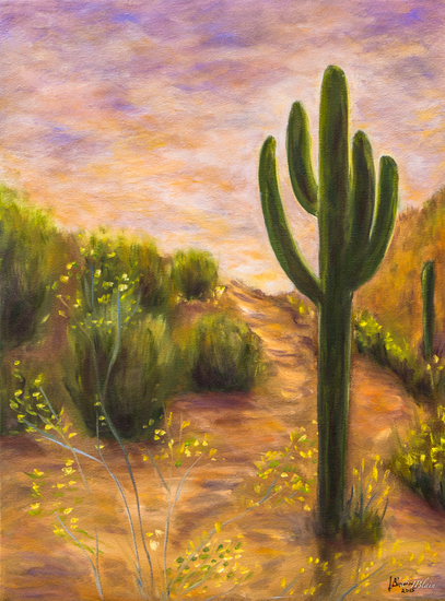 Le désert de Sonora