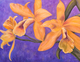 Les orchidées
