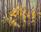 La forêt