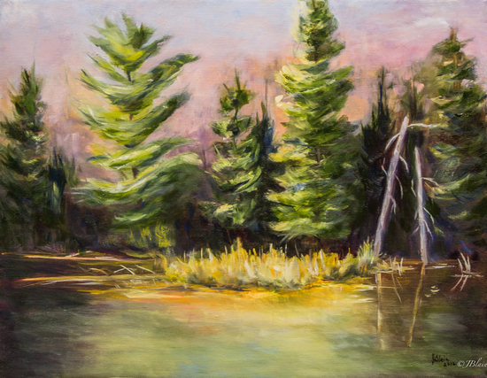 Parc Bon Echo