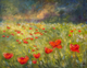 Champ de coquelicots