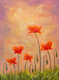 Les coquelicots