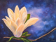 Magnolia lumineuse