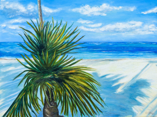 Latanier des Caraïbes