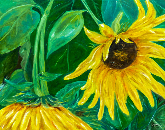 Les tournesols