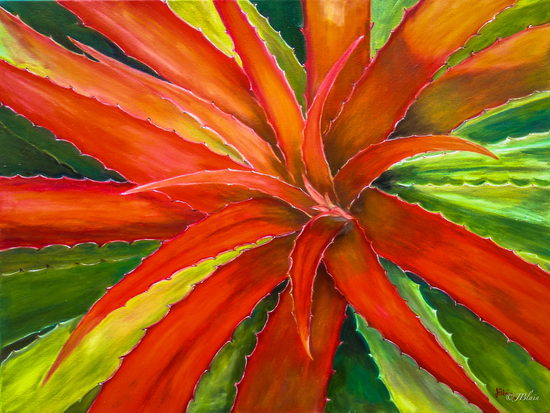Cactus de Cuba