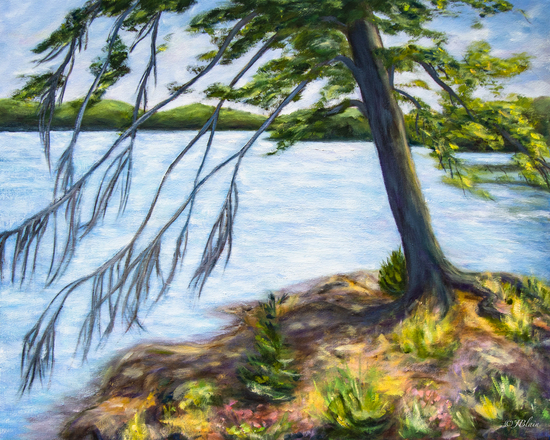 L'Île aux Bleuets