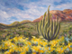 Cactus orgue