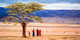 La Savane