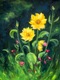 Tournesols