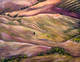 Les collines de la Toscane